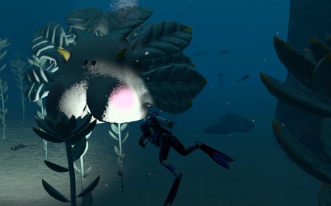 Endless Ocean Luminous | Game Screenshot