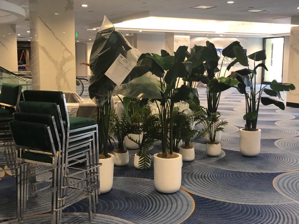 Plants returning to the Hyatt once Dragon Con is over.