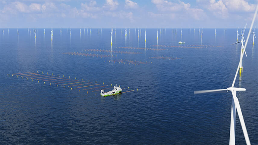 Amazon grants €1.5m for carbon-sequestering seaweed farm located on offshore windfarm