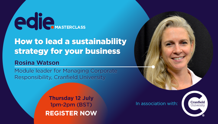 30-minute masterclass: How to lead a sustainability strategy for your business
